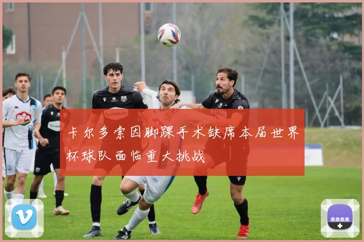 卡尔多索因脚踝手术缺席本届世界杯球队面临重大挑战